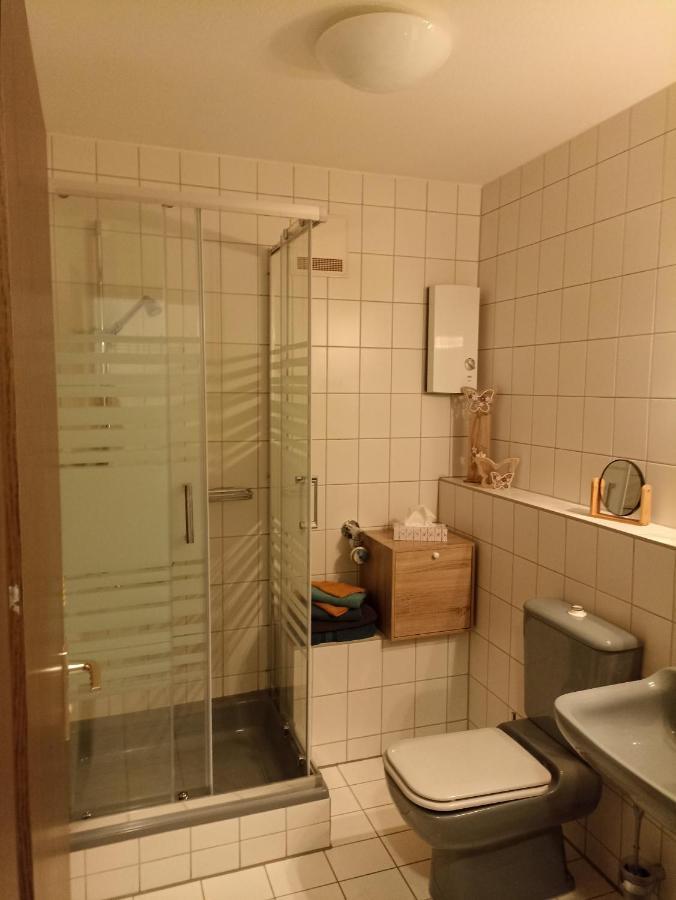 Gemuetliches Apartment In Bad Berneck 바트베르넥임피흐텔게비르거 외부 사진